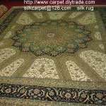 Viscose Silk Carpets 03 Manufacturer Supplier Wholesale Exporter Importer Buyer Trader Retailer in New Delhi Delhi India
